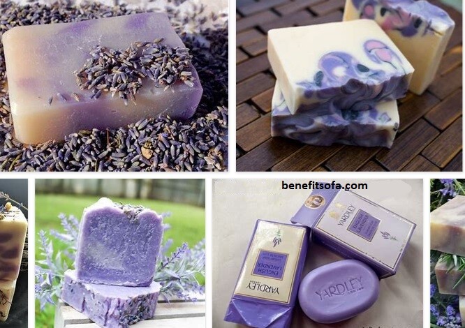 Lavender Soap Benefits – Dr Bronner Lavender Soap Benefits