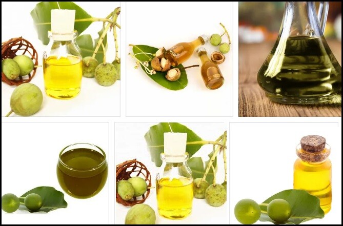 Tamanu Oil Benefits – What are the Benefits of Tamanu Seed Oil for Hair?