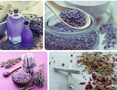 Discover the Amazing Benefits of Smoking Lavender