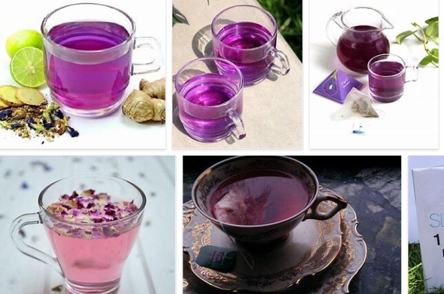 Purple Tea Benefits