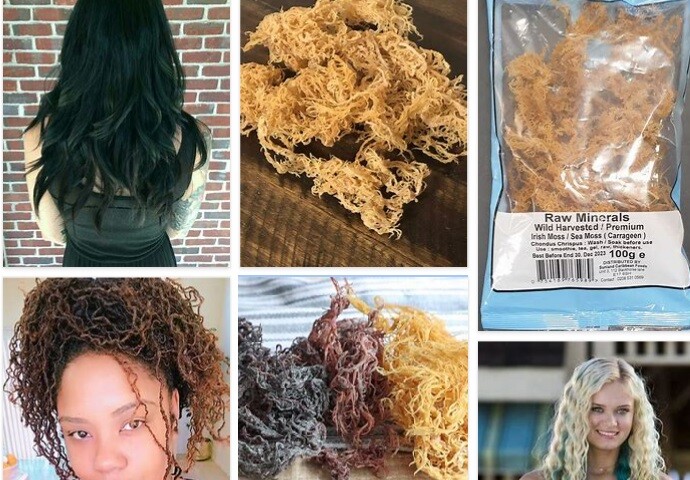 Sea Moss Benefits For Hair – Does Sea Moss Gel Help Hair Grow?