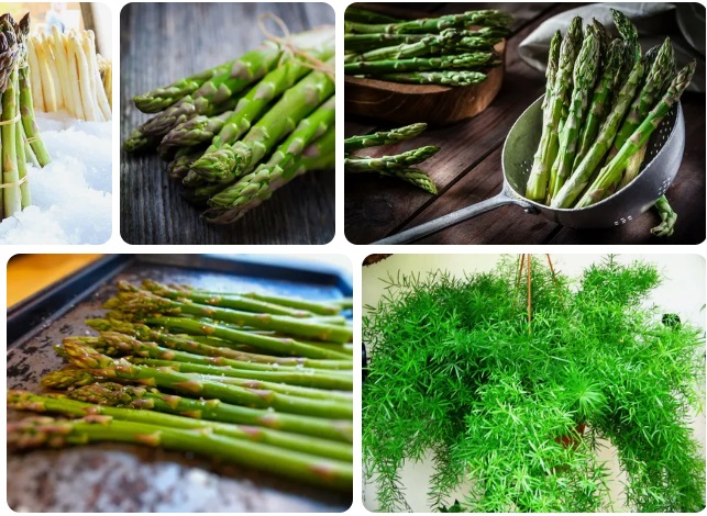 Asparagus Benefits For Skin