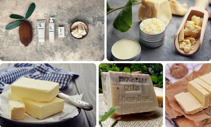 Cupuacu Butter Benefits – Cupuacu Butter Skin Benefits?