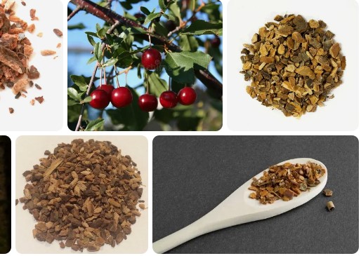 Wild Cherry Bark Benefits Side Effects, Uses, Dose