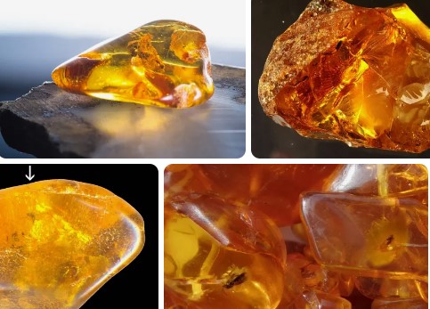 Amber Benefits – What Chakras Does Amber Jewelry Affect?