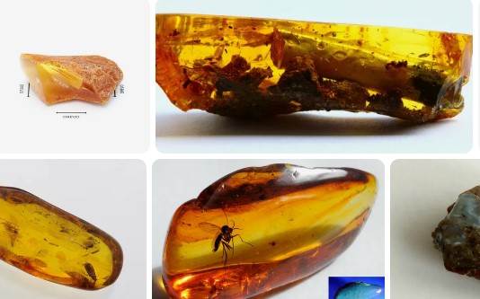 The Benefits of Baltic Amber – Does Baltic amber really work?