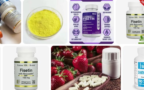 Fisetin Benefits – What are the benefits of taking fisetin?