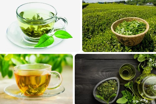 Ashitaba Benefits – Can I drink ashitaba tea at night?