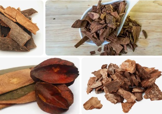 Mauby Bark Benefits – Is Mauby a Diuretic? – Is mauby good for your skin?